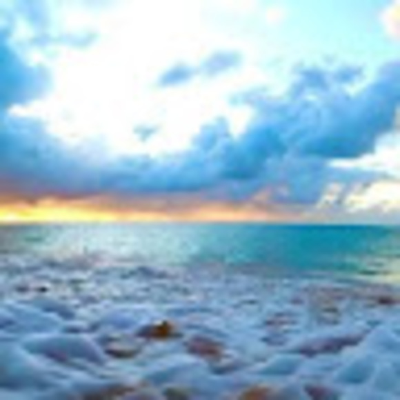 Meet your Posher, Amelia - Picture 1 of 1